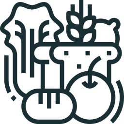 Service icon 2